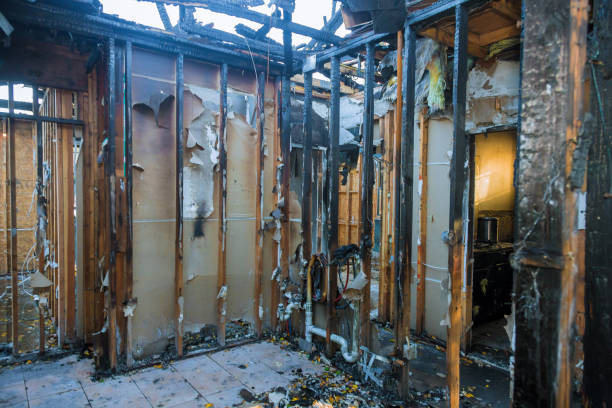 Professional Structural Rebuild technician working in Dundee, NY